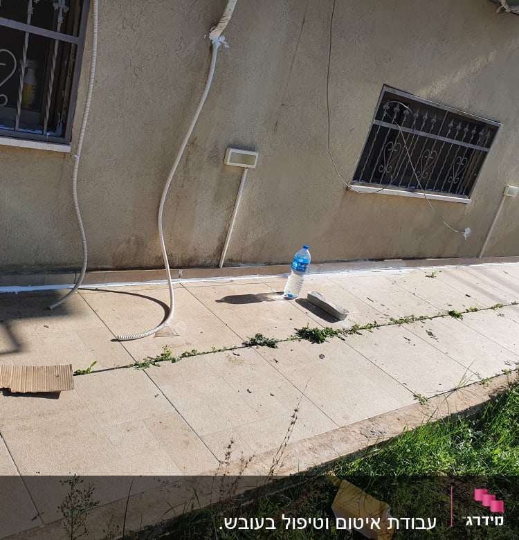 בקבוק מים וכלי עבודה על שביל מרוצף ליד קיר